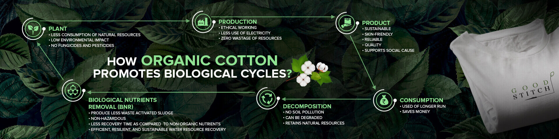 How Organic Cotton Promotes Biological Cycles